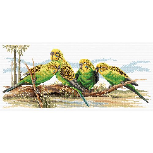 (image for) Budgie Buddies